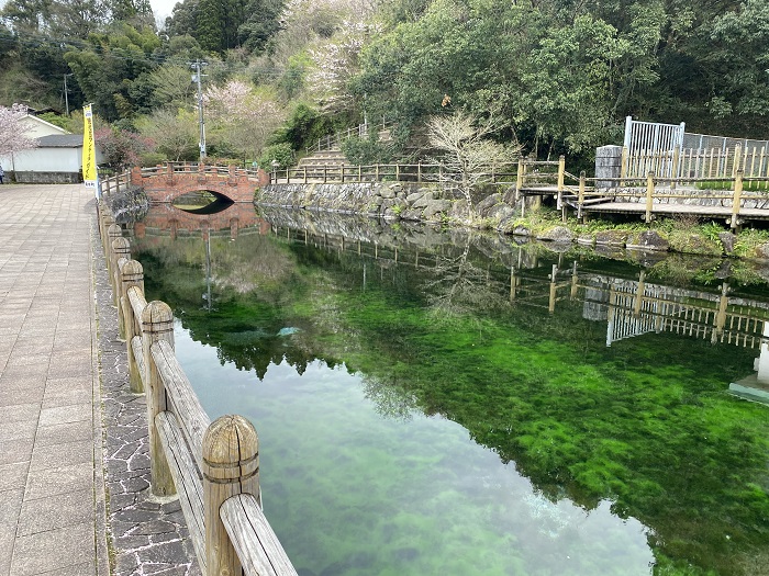 丸池湧水の池