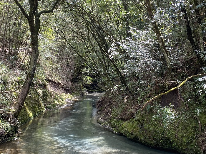 大出水の湧水の風景