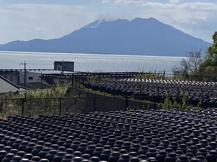 黒い瓶が並び奥に海に浮かぶ桜島