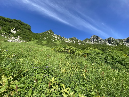 木曽駒ケ岳の千畳敷カールと高山植物