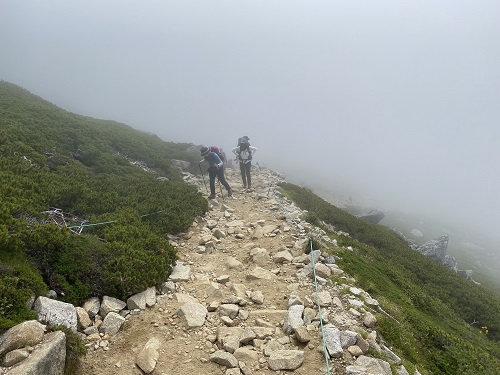 靄の中を登山道を歩く女性