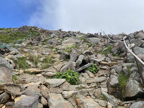 御嶽山のロープで仕切られた登山道