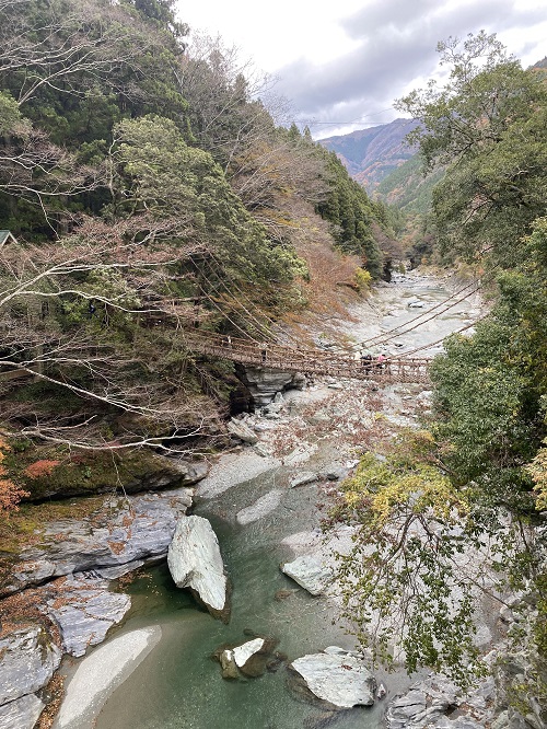 かずら橋の遠景