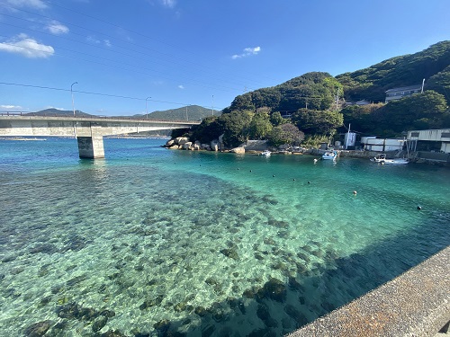 柏島の透明度の高い海の色