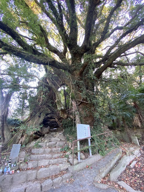 大山祇神社奥の院のある生樹の御門