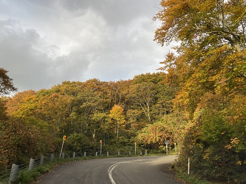 鳥海山ブルーラインの高揚した道