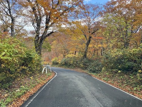 栗駒山に向かう道も紅葉でいっぱい