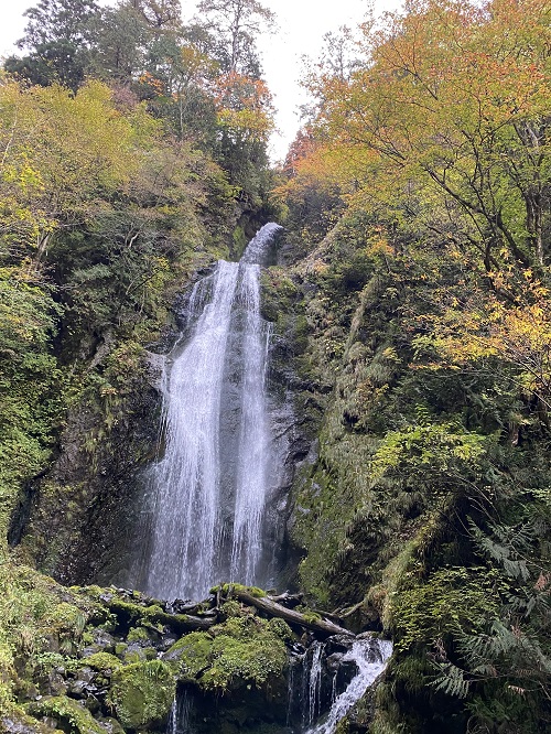 周りが紅葉する回顧の滝