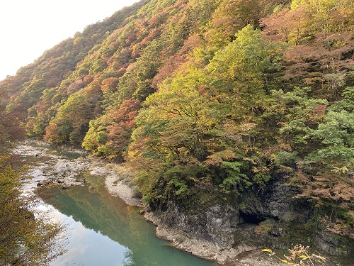 夕陽に紅葉が映える抱返り渓谷