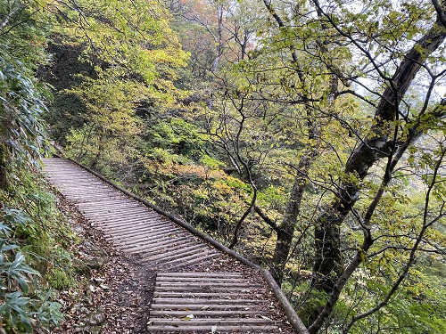 石鎚山の木道の道