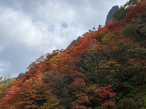 石鎚山の斜面の紅葉