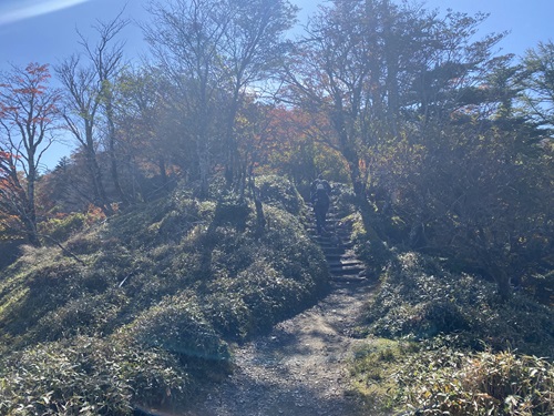 剣山の尾根道ルートの階段