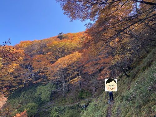 刀掛けの松から大劒神社に抜ける道と紅葉