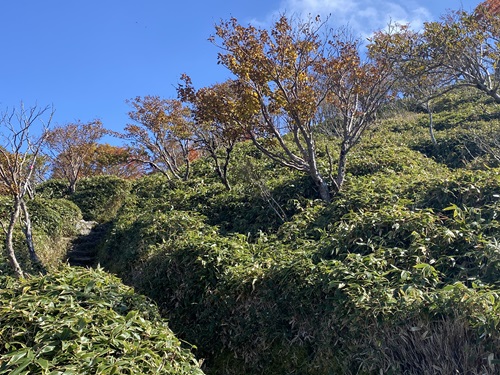 大劒神社から山頂へ向かう登山道