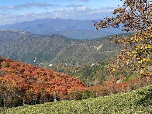 大劒神社から山頂に向かう道から見える山並み