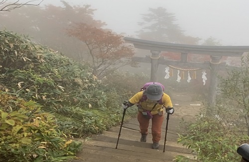 鳥居から階段を上る人