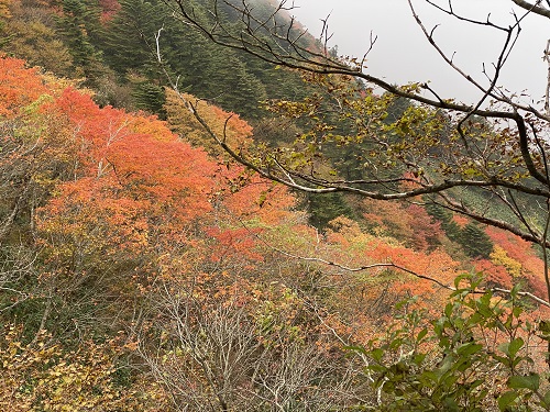 石鎚山一面の紅葉