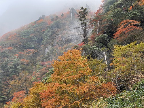 石鎚山のもやと紅葉