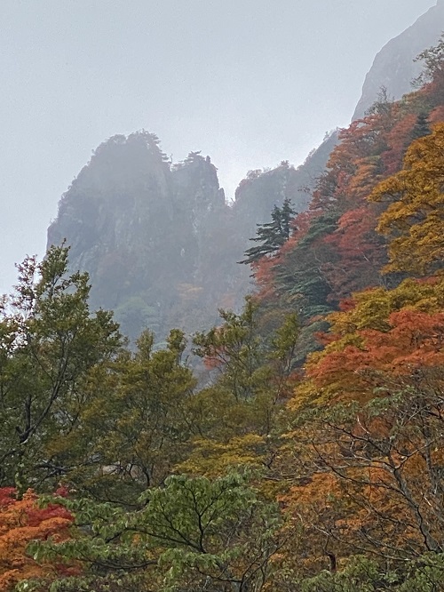 石鎚山の岩肌に木々が見える風景