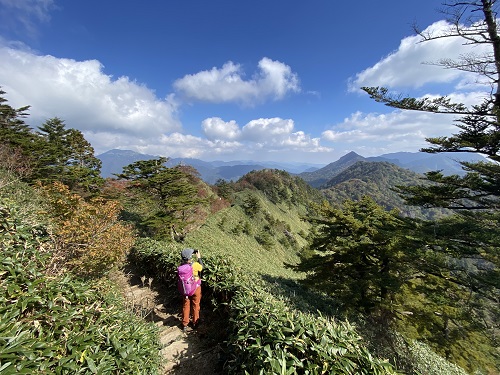 美しい笹の斜面の石鎚山