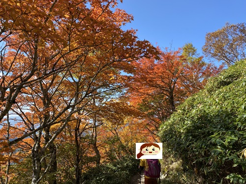 山頂から下山に向かう遊歩道と紅葉