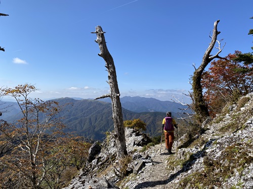 剣山遊歩道の見晴らしのよい登山道