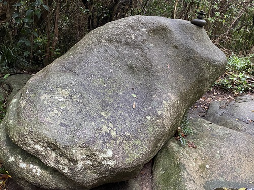 足摺岬のゆるぎ石