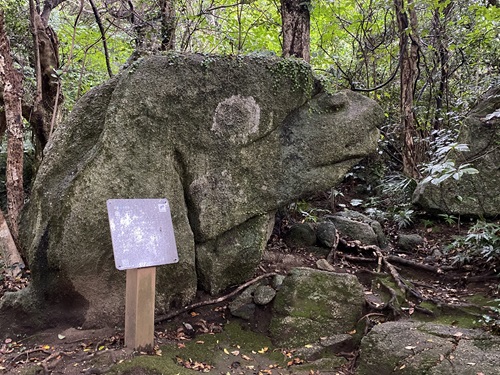 足摺岬のかめ石