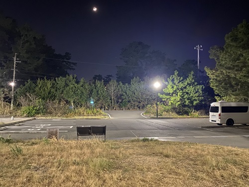 夜間照明がついた清水三保海浜公園の駐車場