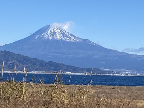 清水三保海浜公園の遊歩道から見える富士山