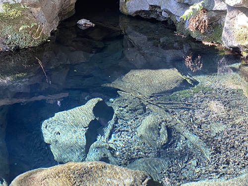 青みがかった水が沸き出るお鬢水