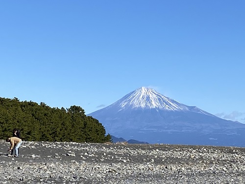 三保松原海岸から見える富士山