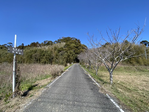 滝田城址の遊歩道帰り道の車道