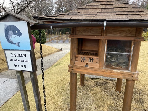 本願荘巌の庭にある鯉の餌売り場