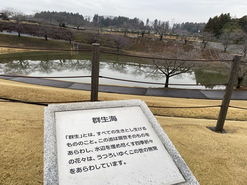 群生海の池