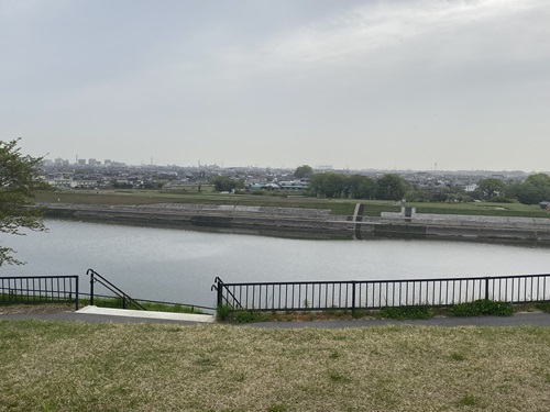 公園の前を流れる山国川