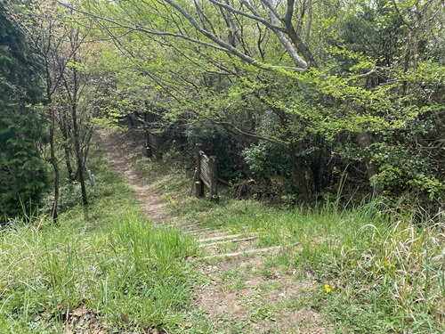 八面山のコース入口すぐの階段