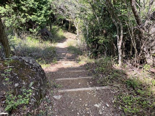 八面山の小池に向かう下りの階段