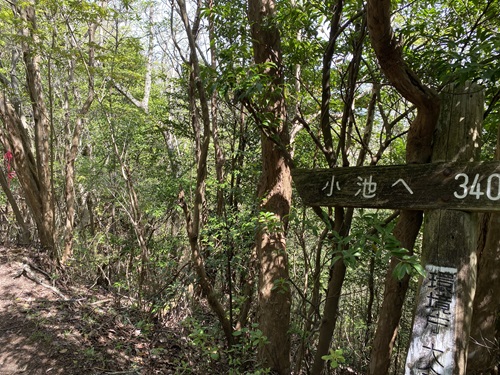 小池までの案内看板