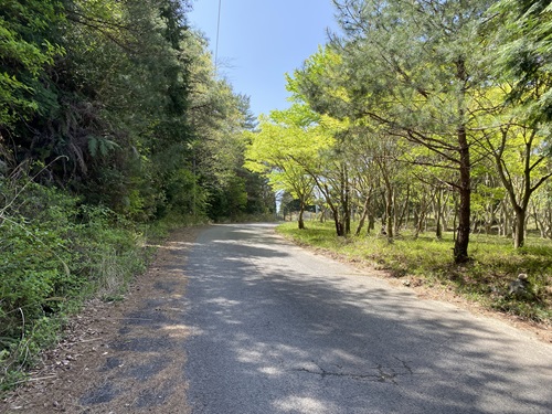 八面山の駐車場に向かう車道