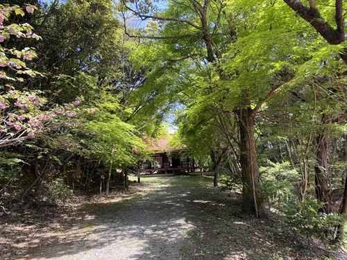 八面山の箭山神社に向かう道