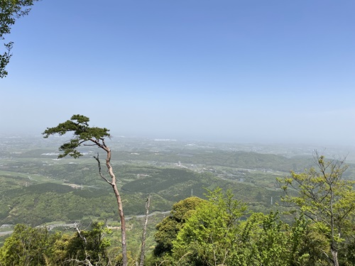 八面山の天空の道からの眺め