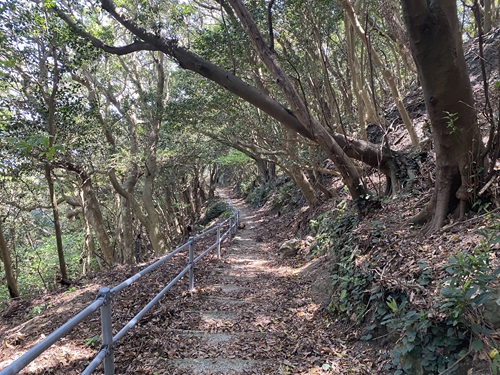 九州最東端にある砲台跡に向かう道