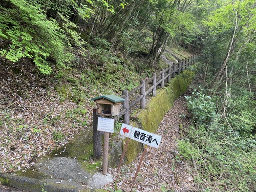 藤河内渓谷の観音滝に向かう道