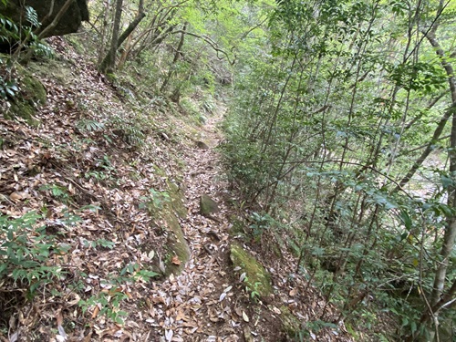 おうけつ谷の後に出てくる山道