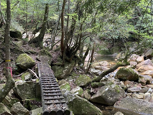 百枚平を過ぎて出てくる木の橋