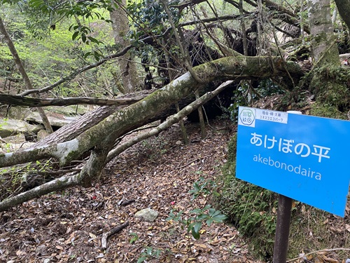 あけぼの平の看板