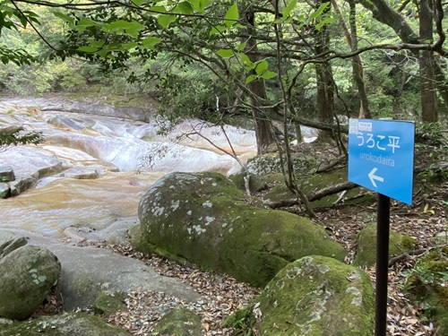 うろこ平の看板