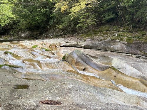 波打っているように見える岩