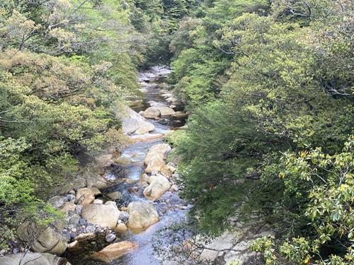 おもいで橋から見える渓谷遠景